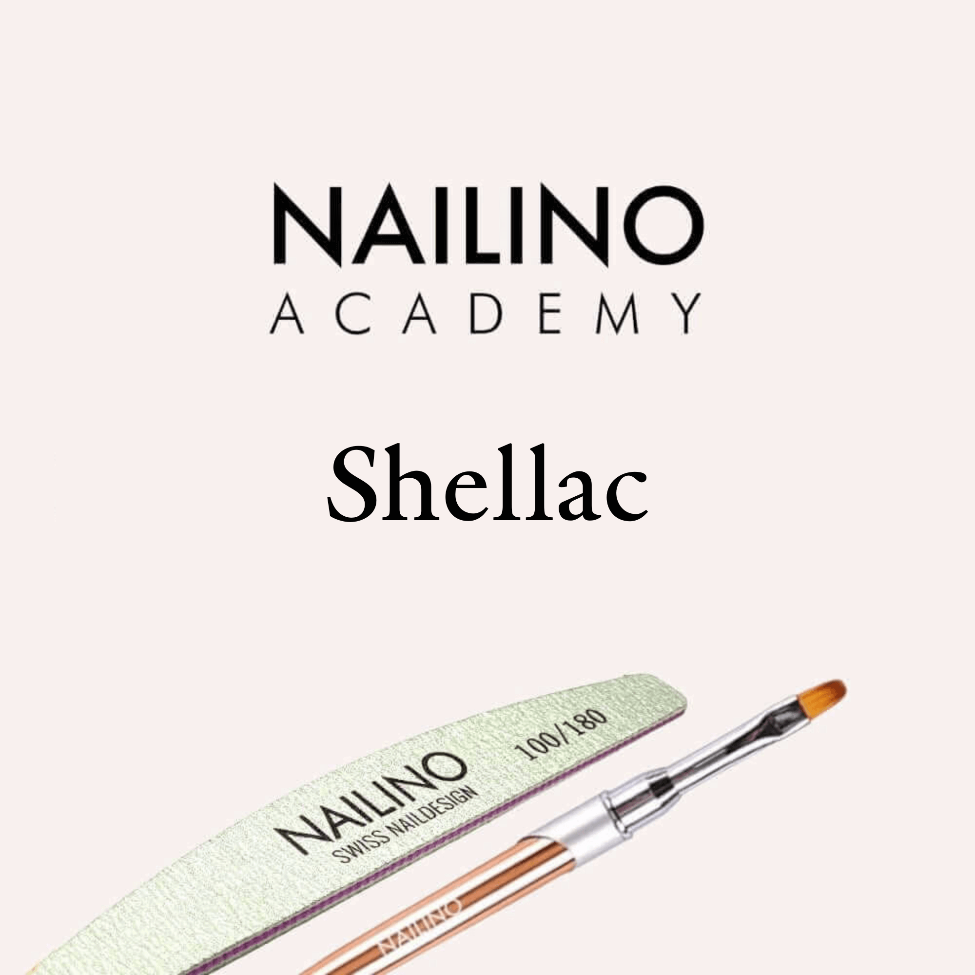 shellac kurs